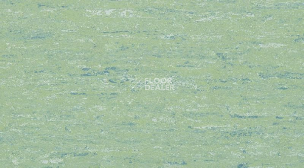 Линолеум Linodur Sport 1036 Smooth Green фото 1 | FLOORDEALER